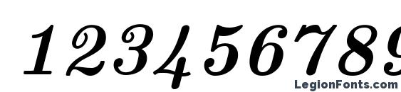 Euclid Bold Italic Font, Number Fonts