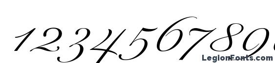 ExcelsorScript Italic Font, Number Fonts