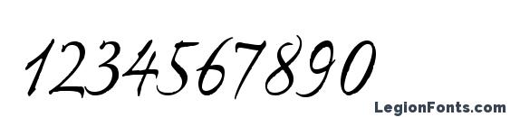 ExPontoPro Regular Font, Number Fonts