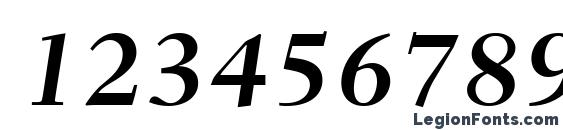 Fairfield LT 76 Bold Italic Font, Number Fonts