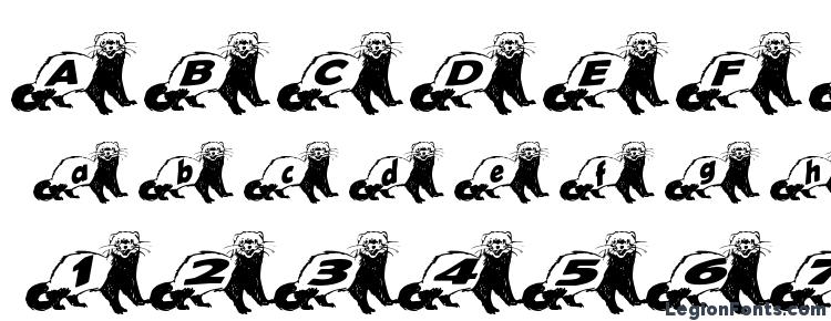 glyphs Ferret body normal font, сharacters Ferret body normal font, symbols Ferret body normal font, character map Ferret body normal font, preview Ferret body normal font, abc Ferret body normal font, Ferret body normal font