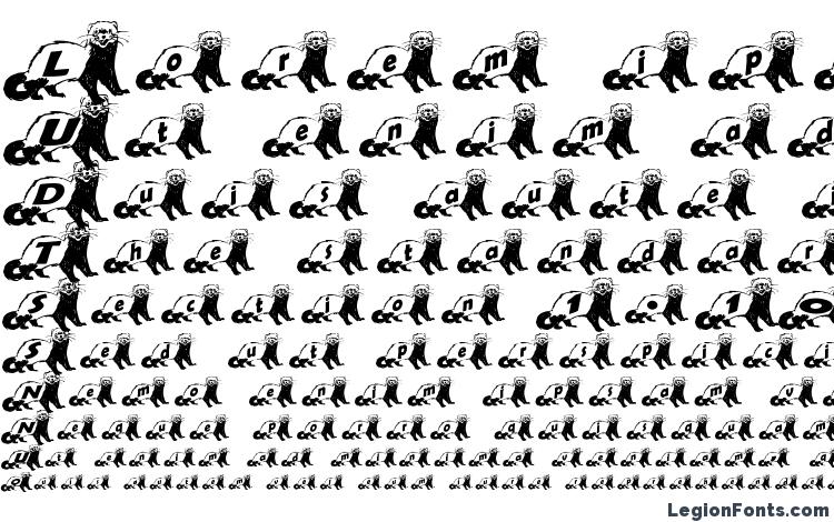 specimens Ferret body normal font, sample Ferret body normal font, an example of writing Ferret body normal font, review Ferret body normal font, preview Ferret body normal font, Ferret body normal font