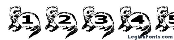 Шрифт Ferret side normal, Шрифты для цифр и чисел
