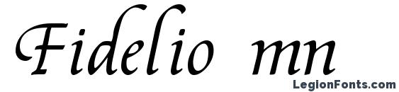шрифт Fidelio mn, бесплатный шрифт Fidelio mn, предварительный просмотр шрифта Fidelio mn