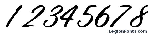 Finalmandate77 regular ttcon Font, Number Fonts