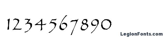 Fitzroy Light Font, Number Fonts
