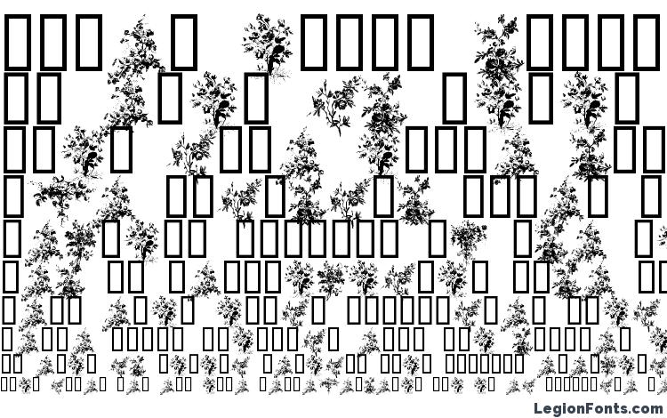 specimens Florals1 font, sample Florals1 font, an example of writing Florals1 font, review Florals1 font, preview Florals1 font, Florals1 font