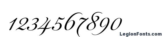 Florisel script Thin Font, Number Fonts