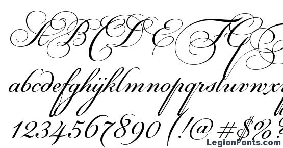 Florisel script Thin Font Download Free / LegionFonts