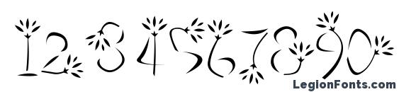 Flower3 Font, Number Fonts