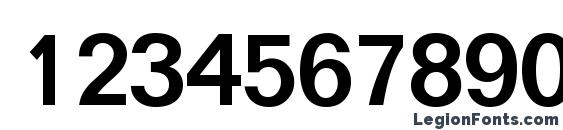 Focus Medium Regular Font, Number Fonts