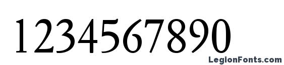 FournierMTStd Regular Font, Number Fonts