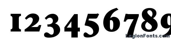 FranciscoSerial Heavy Regular Font, Number Fonts