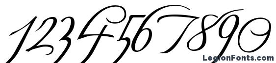 Freebooter Script Font, Number Fonts