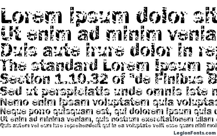 specimens Funky05 Bold font, sample Funky05 Bold font, an example of writing Funky05 Bold font, review Funky05 Bold font, preview Funky05 Bold font, Funky05 Bold font