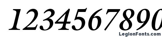 GalliardStd BoldItalic Font, Number Fonts