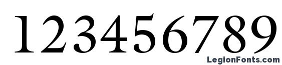 GalliardStd Roman Font, Number Fonts