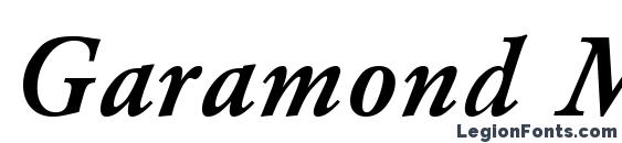 Garamond Medium Italic Font