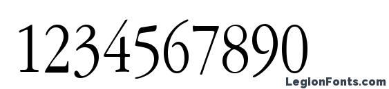 Garamond Narrow Plain.001.022 Font, Number Fonts