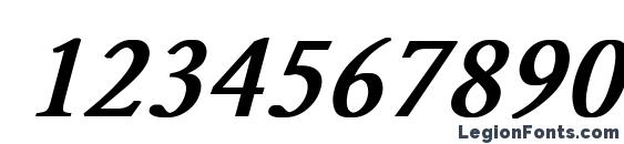 Garamond Normal Bold Italic Font, Number Fonts