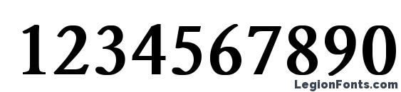 Garamond Normal Bold Font, Number Fonts