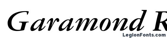 Garamond Reprise SSi Bold Italic Font