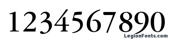 Garamond Reprise SSi Bold Font, Number Fonts