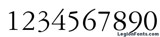 Garamond Reprise SSi Font, Number Fonts