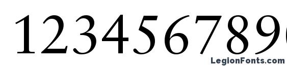 Garamond Retrospective SSi Font, Number Fonts