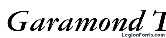 Garamond Three LT Bold Italic Font
