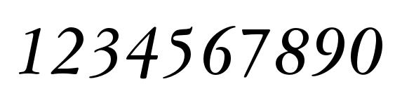 Garamond3LTStd BoldItalic Font, Number Fonts