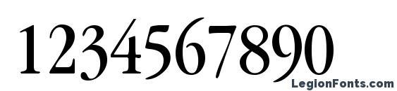 Garamondbookcondssk Font, Number Fonts