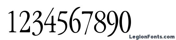 Garamondlightcondssk Font, Number Fonts