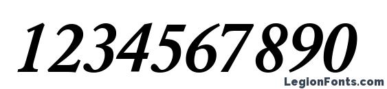 Garamondlightssk bold italic Font, Number Fonts