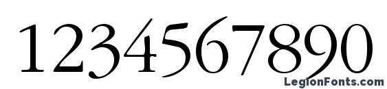 Garamondlightssk regular Font, Number Fonts