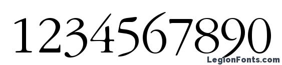 Garamondlightssk Font, Number Fonts
