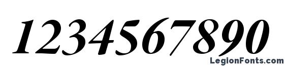 Garamondpremrpro bditsubh Font, Number Fonts