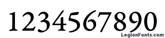 Garamondpremrpro capt Font, Number Fonts