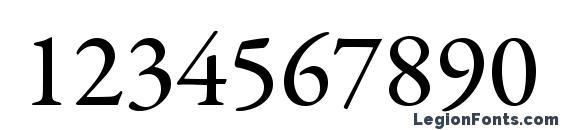 Garamondpremrpro med Font, Number Fonts