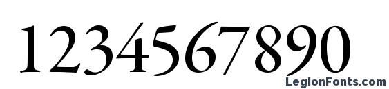 Garamondpremrpro medsubh Font, Number Fonts