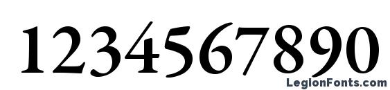 GaramondPremrPro Smbd Font, Number Fonts