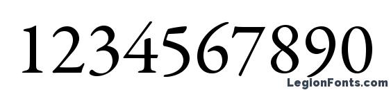 GaramondPremrPro Font, Number Fonts