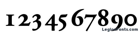 Garamondproblackssk Font, Number Fonts