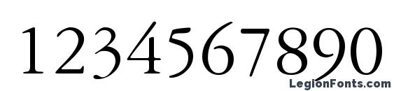 Garamondreprisessk regular Font, Number Fonts