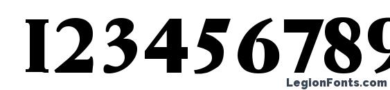 Garemond heavy Font, Number Fonts