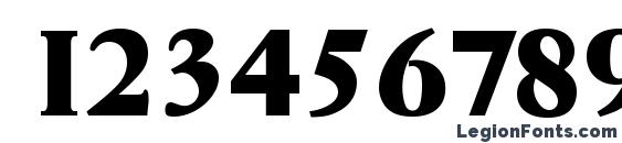 GarfeldSerial Heavy Bold Font, Number Fonts