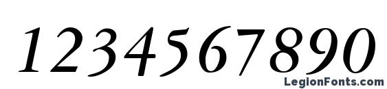 Garnet Italic Font, Number Fonts