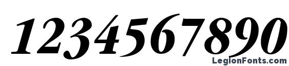 GarnetCondensed Bold Italic Font, Number Fonts