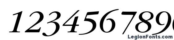 GarryMondrian4 BookItalicSH Font, Number Fonts