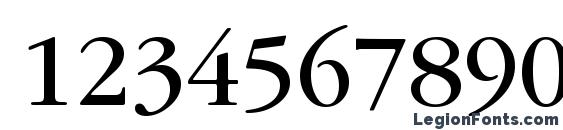 GarryMondrian4 BookSH Font, Number Fonts